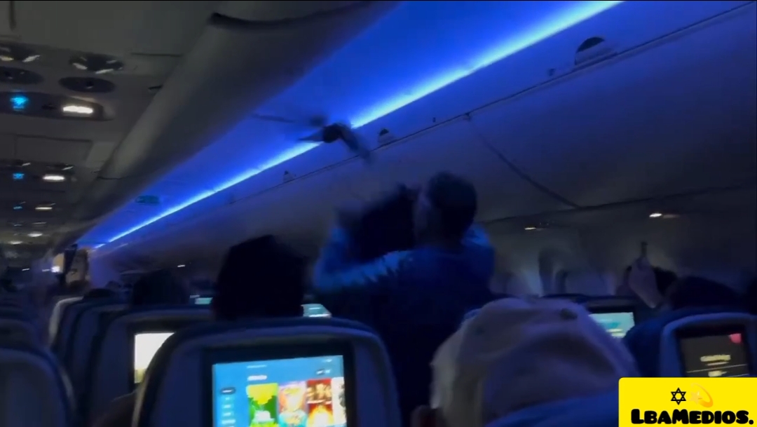 Dos Palomas Retrasan Vuelo de Delta Airlines En Los Estados Unidos.