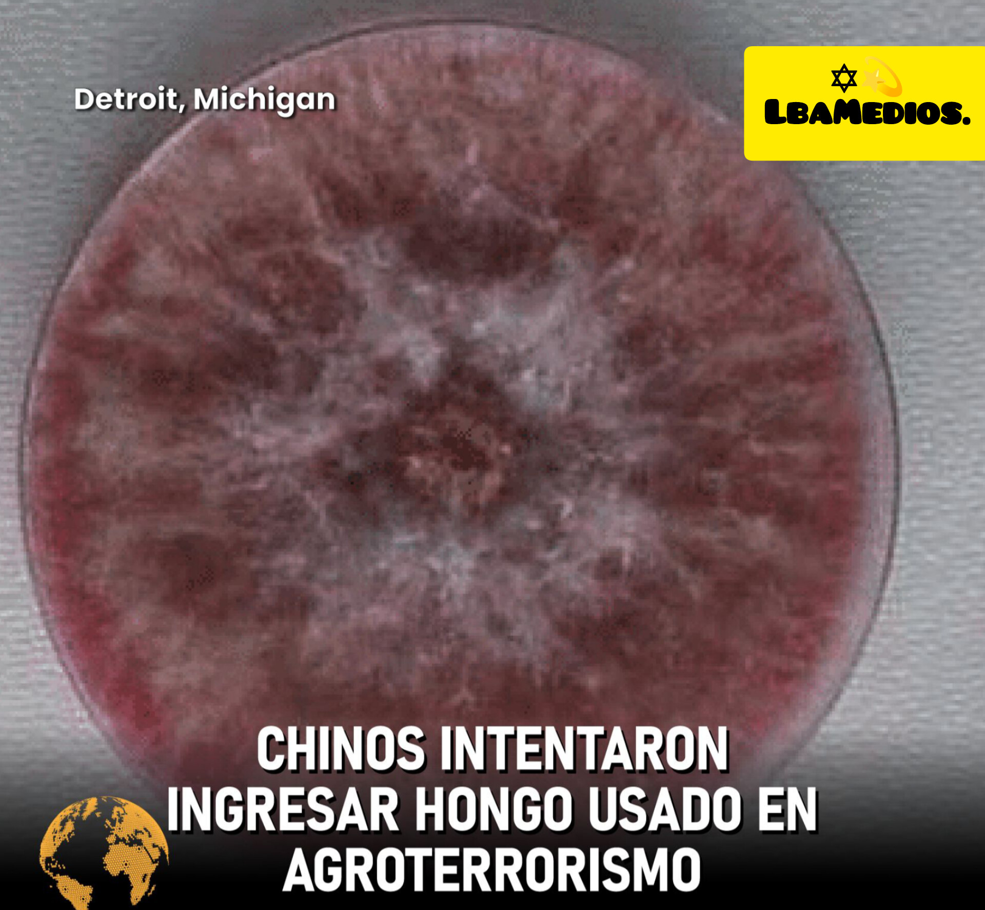 Una Pareja China Pretendía Introducir Un Hongo Toxico A Los EeUu Para Luego Ser Usado Como Arma Biológica.